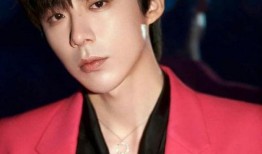 娱乐爆料刘宇宁是谁,娱乐爆料中的神秘歌手，揭秘其背后的故事